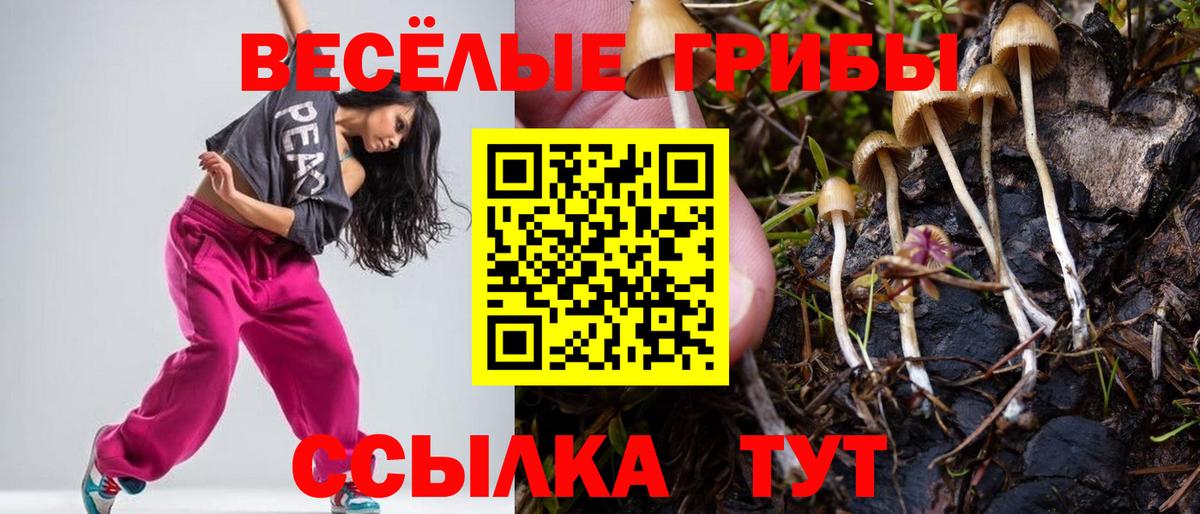 Псилоцибиновые грибы Cubensis Ростов-на-Дону