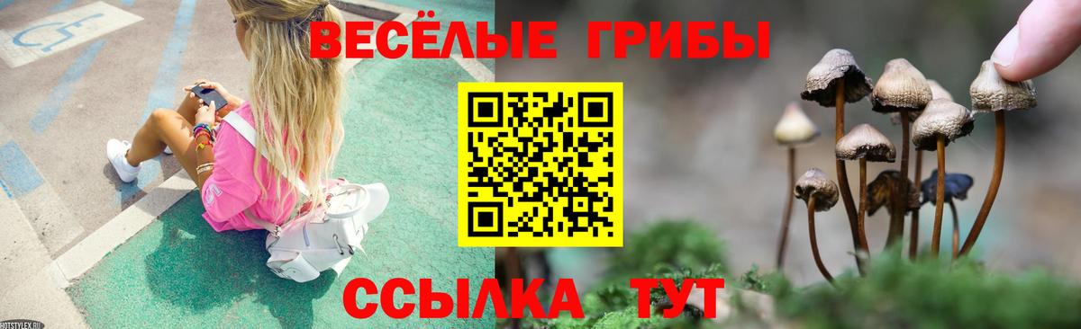 Ростов-на-Дону  Галлюциногенные грибы Psilocybe  Вход с VPN  Галлюциногенные грибы MAGIC MUSHROOMS 